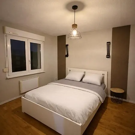 Apartmán N1 Premium Comfort, Saint-louis, Gates Of Basel & Deutschlands *